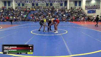 190 lbs Quarterfinal - Trent Johnson, Patrick Henry vs Cole Mcstoots, Fairview