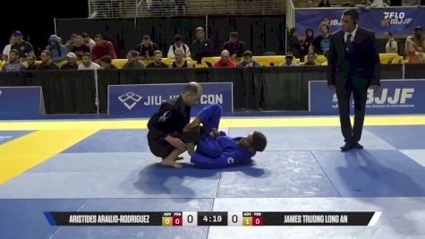 James Truong Long An vs Aristides Araujo-Rodriguez 2026 Pan Jiu Jitsu IBJJF Championship