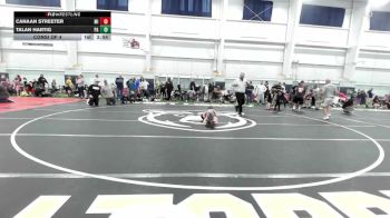 B-65 lbs Consi Of 4 - Canaan Streeter, MI vs Talan Hartig, PA
