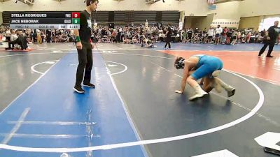 111 lbs Rr Rnd 6 - Stella Rodrigues, Falcons Wrestling Club - ESC vs Jace Neborak, All I See Is Gold Academy Stars - ESC