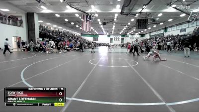 75 lbs Cons. Round 3 - Grant Lottmann, Greater Heights vs Tory Rice, Prodigy Wrestling