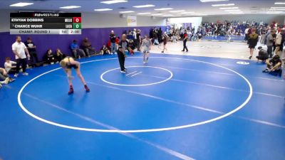 113 lbs Champ. Round 1 - Chance Wuhr, Lake Catholic vs Ethyan Dobbins, Mt. Juliet