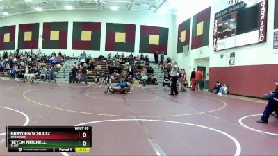 190 lbs Round 2 - Teyon Mitchell, Ellet vs Brayden Schultz, Brookside