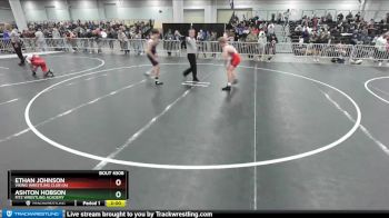 138 lbs Champ. Round 2 - Ashton Hobson, Fitz Wrestling Academy vs Ethan Johnson, Viking Wrestling Club (IA)