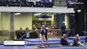 Peyton Bricco - Women's Group, TNT Gymnastics - 2021 Women's Xcel Region 4 Championships
