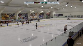 Replay: Home - 2024 Mullets vs Ducks | Dec 7 @ 6 PM