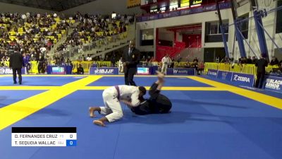 DANIEL FERNANDES CRUZ DE SOUZA vs TY SEQUOIA WALLACE 2024 World Jiu-Jitsu IBJJF Championship