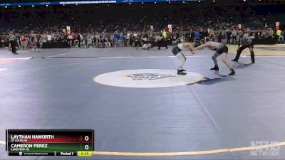 D4-132 lbs Cons. Round 2 - Cameron Perez, Lakeview HS vs Laythan Haworth, St Louis HS