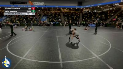 120 lbs Champ. Round 1 - Zach Weadon, Woodstock (Marian) vs Jaedn Gallagher, Linn-Mar