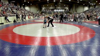 45 lbs Quarterfinal - Wesley Stott, Backyard Bullies Wrestling Club vs Amazin' Hall, Roundtree Wrestling Academy