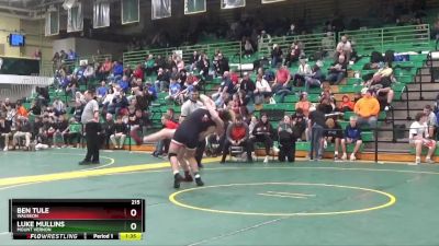 215 lbs Quarterfinal - Luke Mullins, Mount Vernon vs Ben Tule, Wauseon