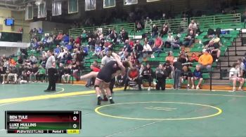 215 lbs Quarterfinal - Luke Mullins, Mount Vernon vs Ben Tule, Wauseon