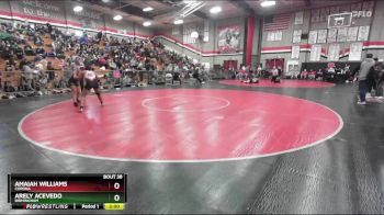 115 lbs Champ. Round 1 - Arely Acevedo, Birmingham vs Amaiah Williams, Corona