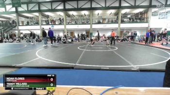 71-77 lbs Round 3 - Teddy Millard, Rochelle Wrestling Club vs Noah Flores, Force Elite