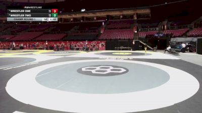 100 lbs Champ Round 1 - Wrestler One, Team 1 vs Wrestler Two, Team 2