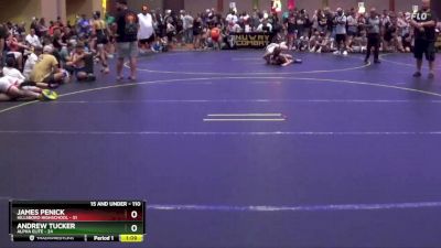 110 lbs Round 3 - James Penick, Hillsboro Highschool vs Andrew Tucker, Alpha Elite