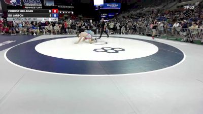 190 lbs Champ. Rd Of 128 - Connor Gillahan, PA vs Eli Larson, IL