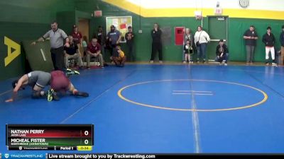 138 lbs Cons. Round 6 - Nathan Perry, AVON LAKE vs Micheal Fister, Northridge (Johnstown)