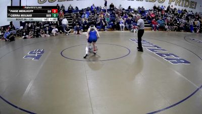 130 lbs Cons. Round 1 - Cierra Molnar, Burrell Hs vs Paige Mehlhoff, Shaler Area Hs