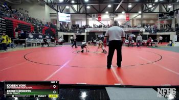 113 lbs Cons. Round 2 - Kaygen Roberts, Boyle County vs Kayden York, South Warren High School