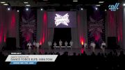 Dance Force Elite - Dance Force Elite- Mini Pom [2023 Mini - Pom - Large Day 2] 2023 JAMfest Dance Super Nationals