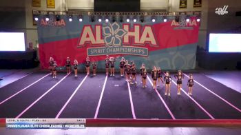 Pennsylvania Elite Cheerleading - Incredibles [2026 L2 Youth - Flex - D2 Day 1] 2026 Aloha Baltimore Showdown