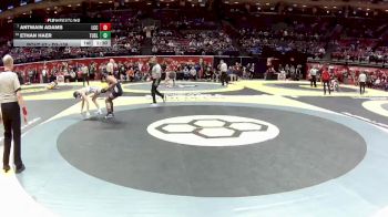 D3-138 lbs Champ. Round 1 - Antwain Adams, Lima C.c. vs Ethan Haer, Tuslaw