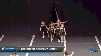 ACE Cheer Company North MS - Little Feathers [2020 L1 Tiny Small Coed Novice] 2020 ACE Cheer Company Showcase