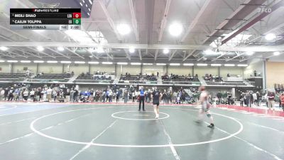 132 lbs Semifinal - Meili Shao, La Salle Academy vs Cailin Tolppa, East Greenwich