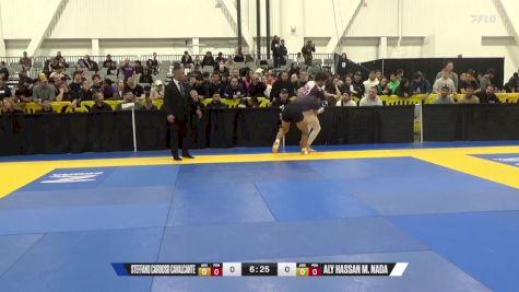 Aly Hassan M. Nada vs Steffano Cardoso Cavalcante 2024 World IBJJF Jiu-Jitsu No-Gi Championship