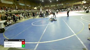 95 lbs 3rd Place - Breadyn Anderson, Western Colorado WC vs Cole Simpson, Black Fox Wrestling Academy