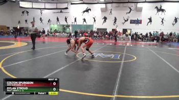 141 lbs Round 2 (10 Team) - Dylan Stroud, West Liberty 2 vs Colton Spurgeon, Ohio Northern 2