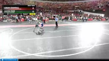 80 lbs Cons. Round 5 - Logan Crandall, Evansville Demons Wrestling vs Austin Page, A-F Green Demons