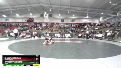 125 lbs Semifinal - Anthony Aniciete, Tiffin vs Shane Corrigan, UW-Parkside