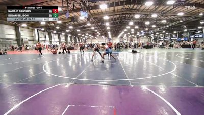 160 lbs Consi Of 32 #1 - Kanaje Brickus, PA vs Elijah Ellison, GA