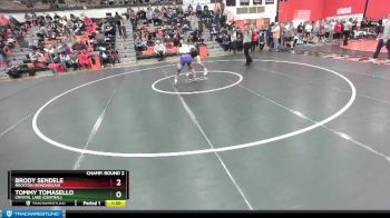 157 lbs Champ. Round 2 - Brody Sendele, Rockton (Hononegah) vs Tommy Tomasello, Crystal Lake (CENTRAL)