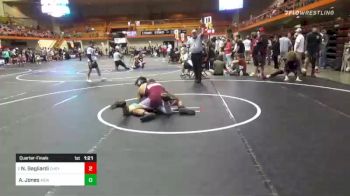 195 lbs Quarterfinal - Nico Gagliardi, Cheyenne Mountain Wrestling vs Aidan Jones, Aidan Jones