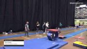 Ella Hawks - Women's Group, Wings Gymnastics Academy - 2021 Women's Xcel Region 4 Championships