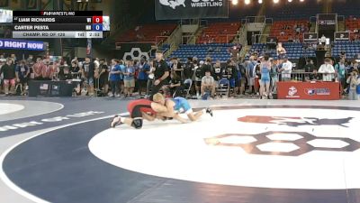 165 lbs Champ. Rd Of 128 - Liam Richards, Wisconsin vs Carter Pesta, Minnesota