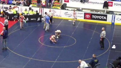 110 lbs Quarterfinal - Sawyer Mitchell, Cumberland Valley vs Milan Harrison, Saegertown