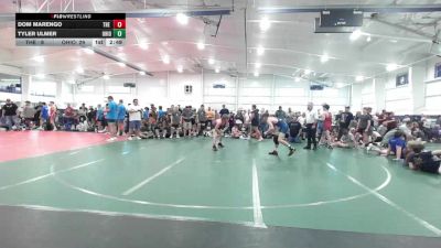 139 lbs 7th Place - Dom Marengo, The Asylum Yellow-HS vs Tyler Ulmer, Ohio Gold-HS