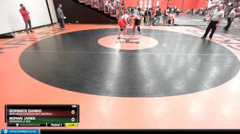 195 lbs Cons. Round 3 - Dominick Danno, New Lenox (LINCOLN-WAY CENTRAL) vs Roman Janek, EDWARDVILLE (HS)