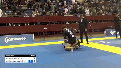 Dante Derrick Muschamp vs Arthur Dorneles Mariath 2024 Pan IBJJF Jiu-Jitsu No-Gi Championship