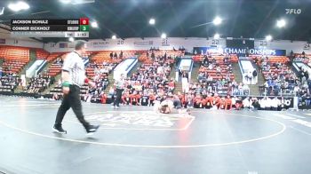 138 lbs Quarterfinals (8 Team) - Jackson Schulz, St Louis vs Conner Eickholt, New Lothrop