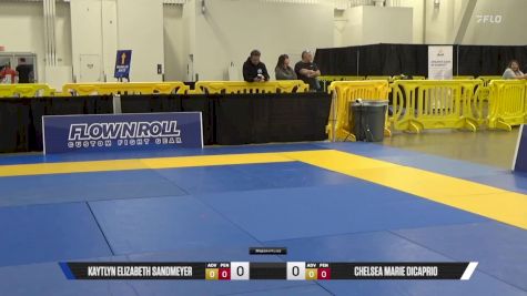 Chelsea Marie DiCaprio vs Kaytlyn Elizabeth Sandmeyer 2025 World IBJJF Jiu-Jitsu No-Gi Championship