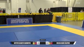 Chelsea Marie DiCaprio vs Kaytlyn Elizabeth Sandmeyer 2025 World IBJJF Jiu-Jitsu No-Gi Championship