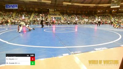 76 lbs Round Of 32 - Gabriel Hayes, Wentzville Wrestling Federation vs Michael Dudak III, Region Wrestling Academy