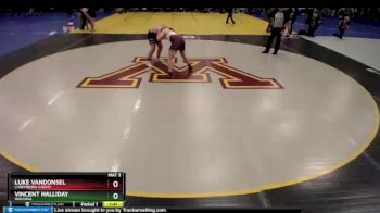220 lbs Champ. Round 1 - Luke VanDonsel, Luxemburg-Casco vs Vincent Halliday, Waconia