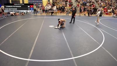 150 lbs Champ. Round 1 - Connor Peterson, MN vs Cam Matthews, IL
