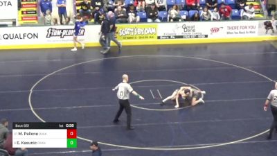 105 lbs Round Of 32 - Mya Pallone, Quakertown vs Ella Kasunic, Cranberry